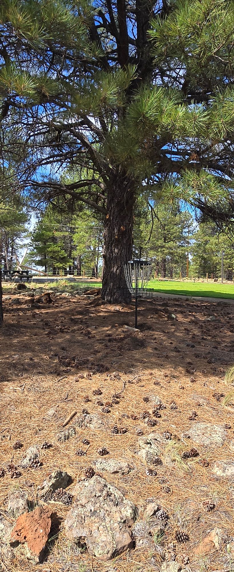 Hole 2