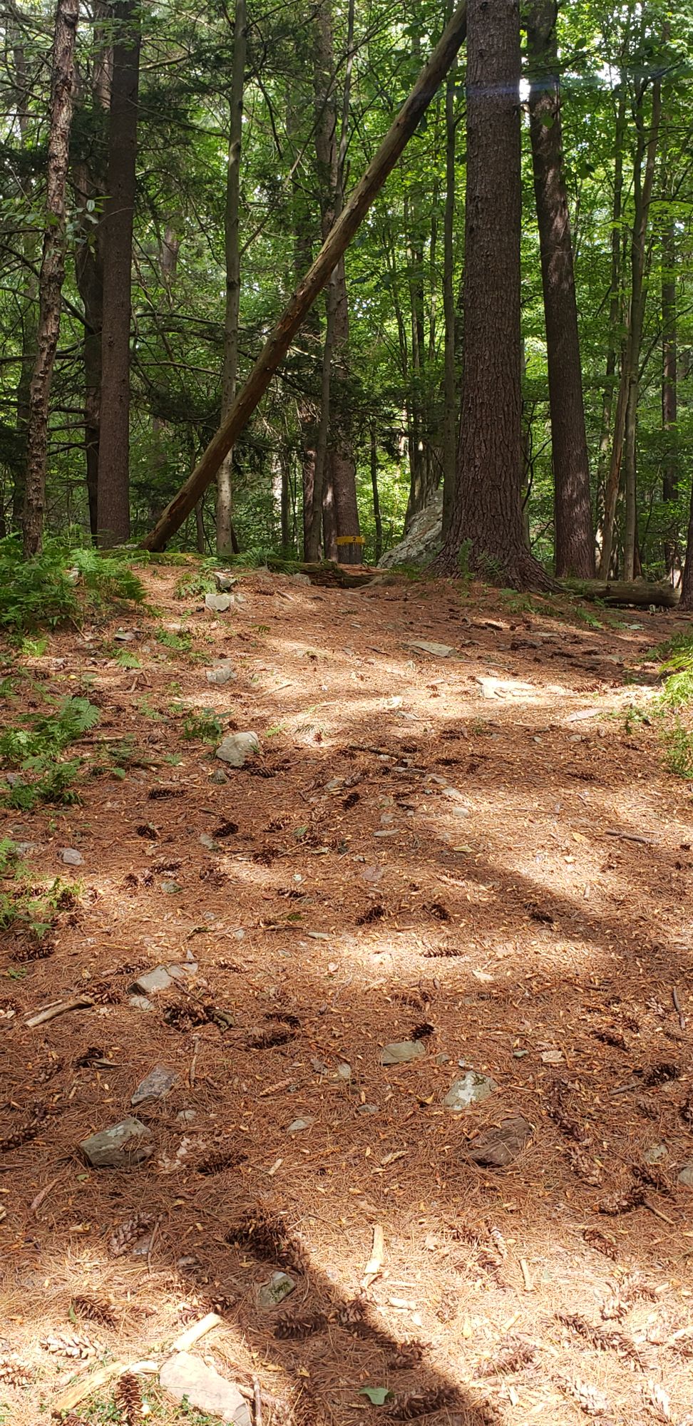 Hole 2 approach