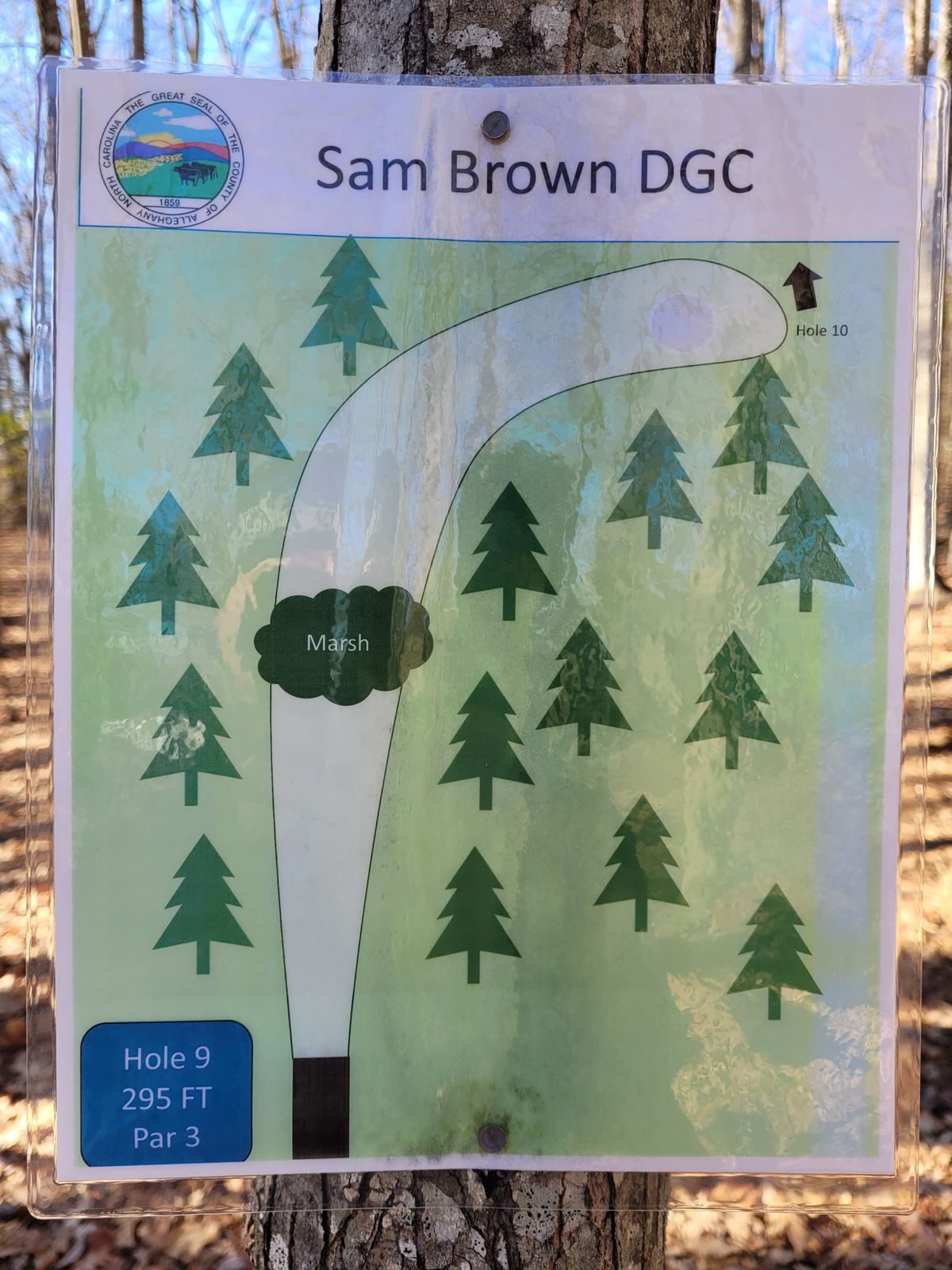 Hole #9 map