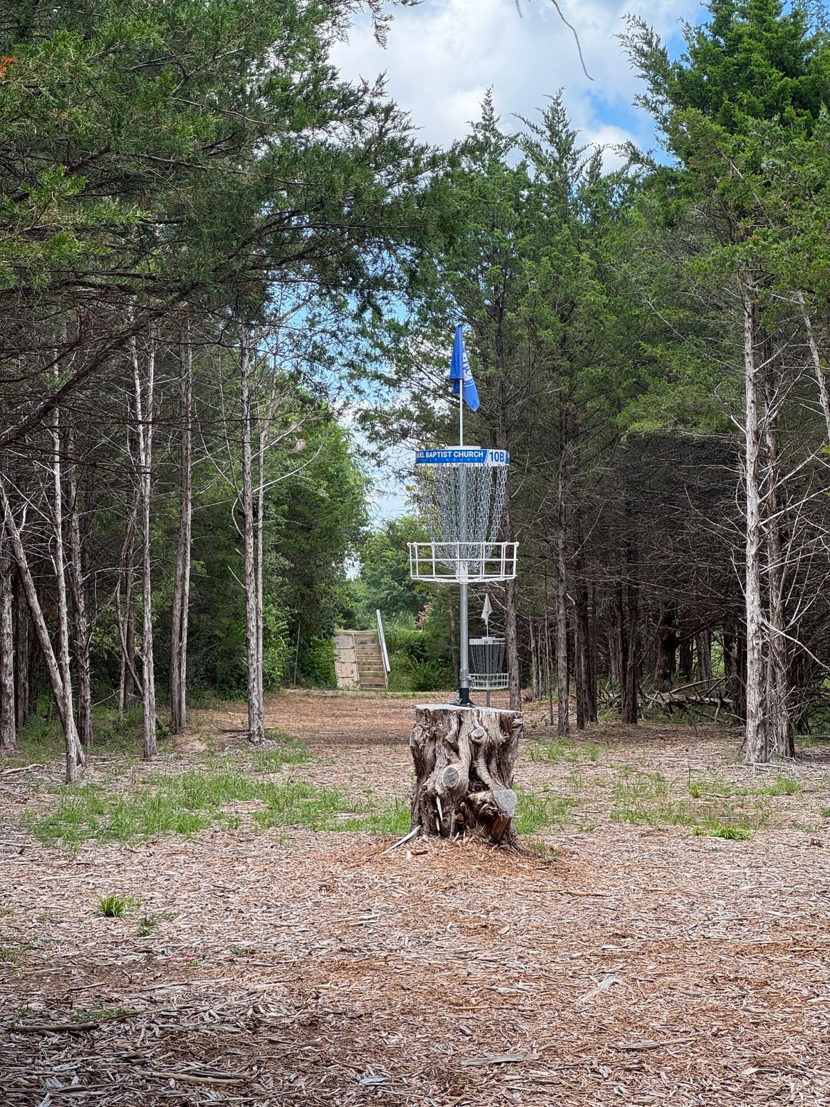 Looking back to #10 tee from behind basket.