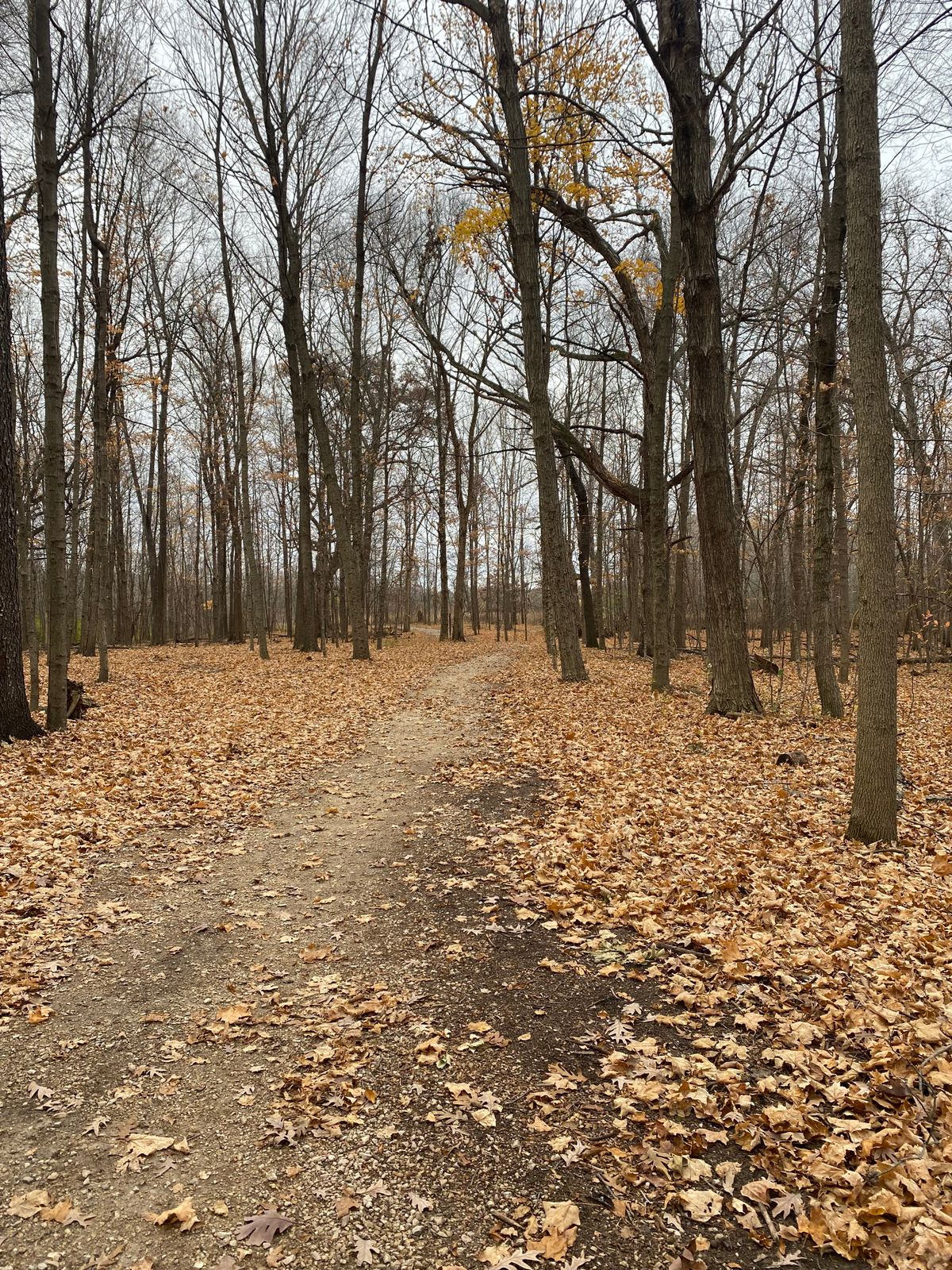 Hole 5 from the Tee pad.