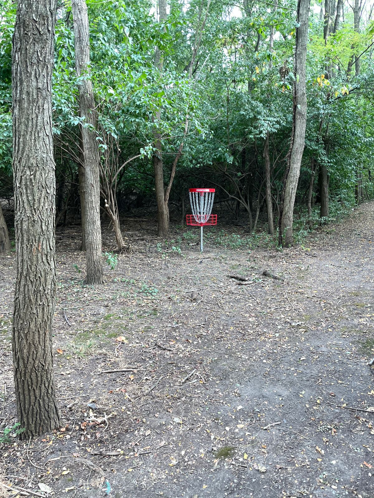 Hole 12 basket