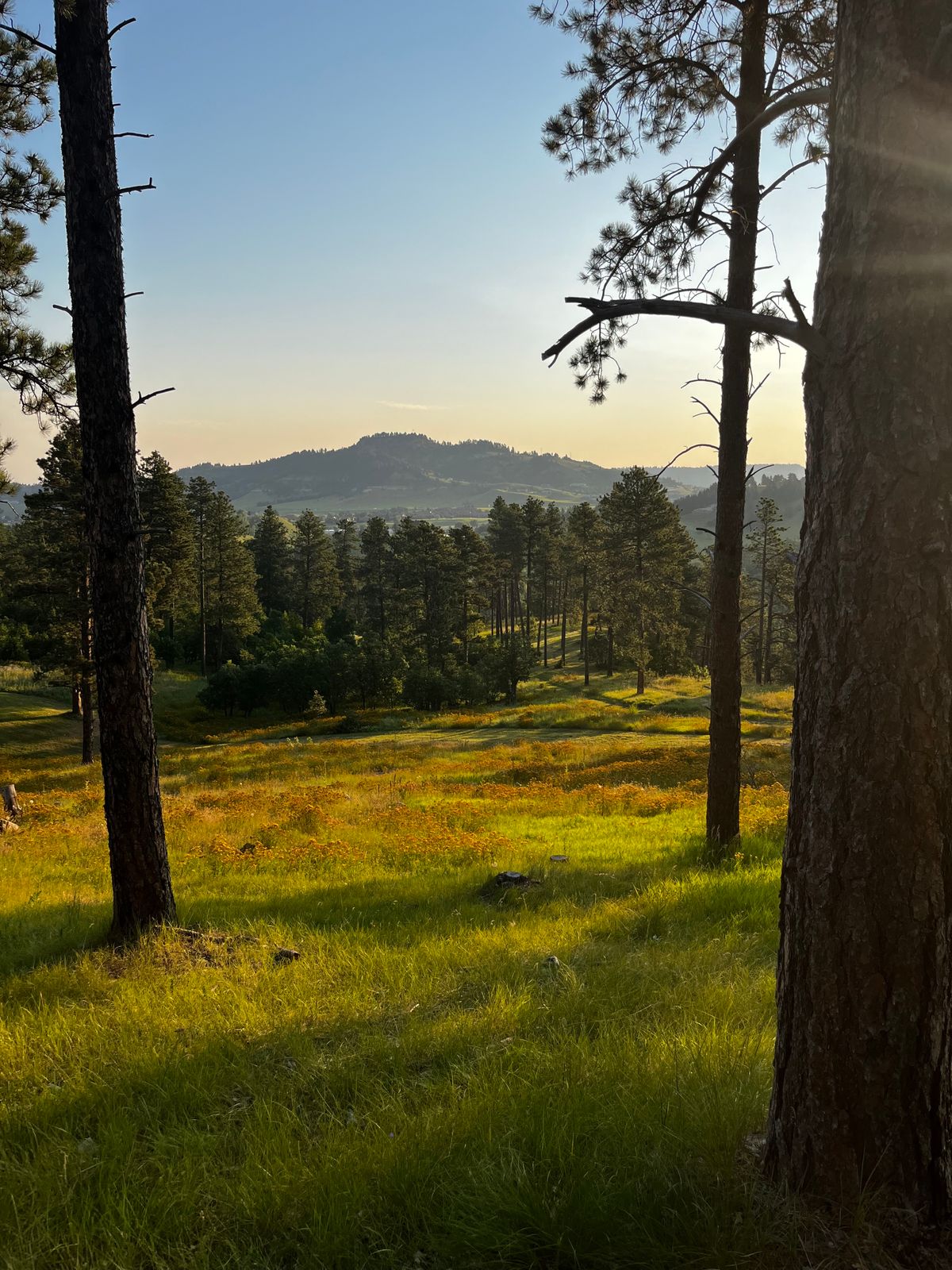 View from Hole 14’s Basket