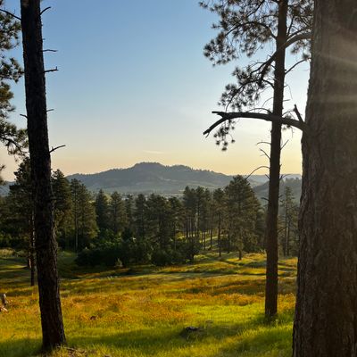 View from Hole 14’s Basket