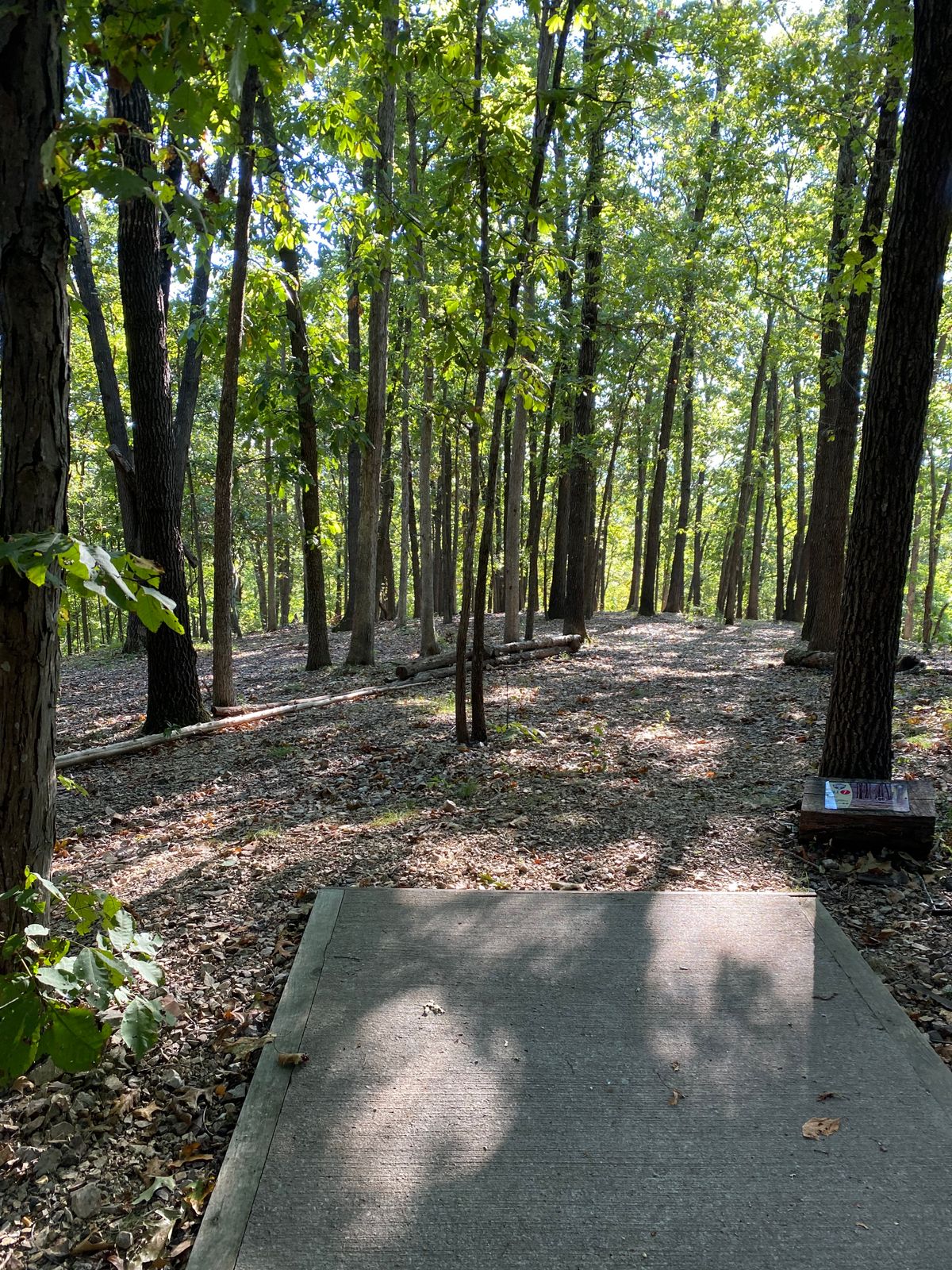 Hole 7 pink course.