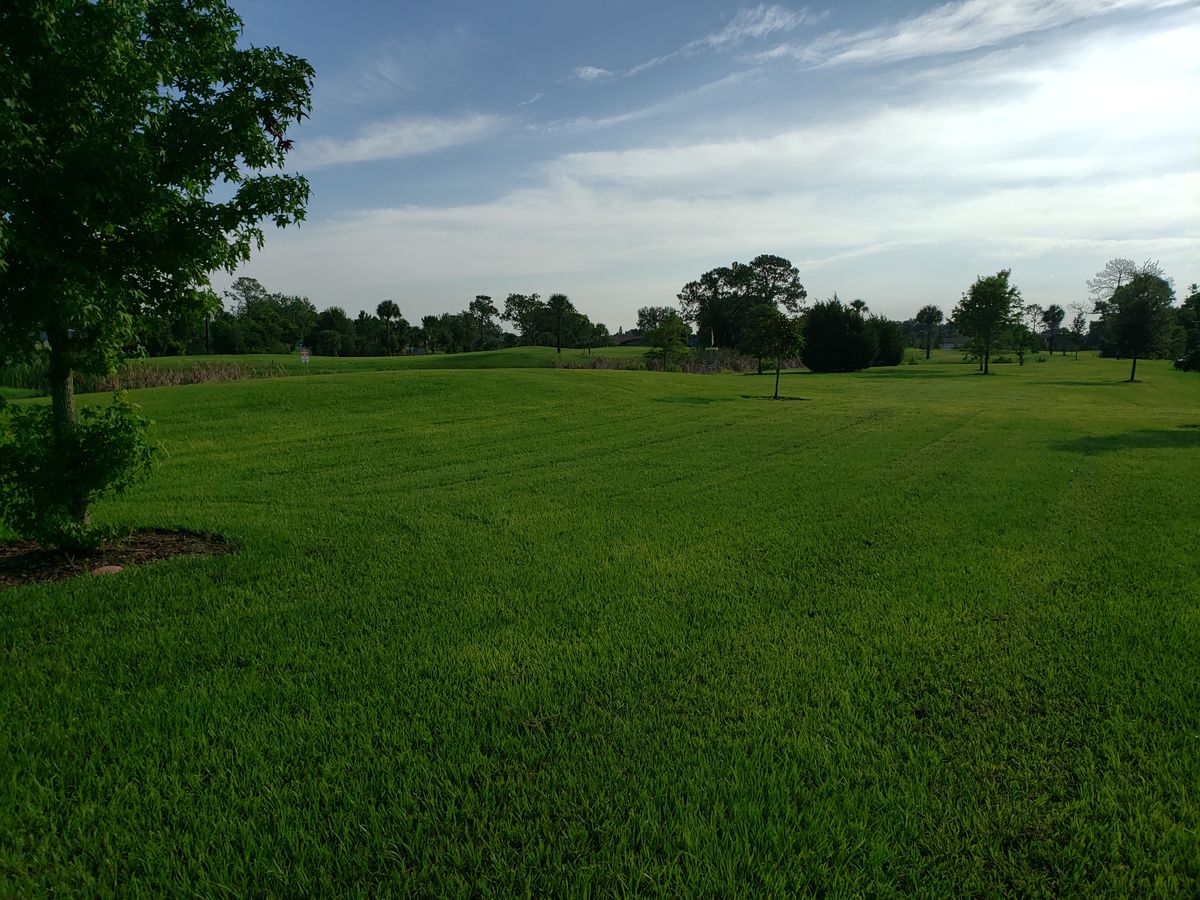 #3 Fairway