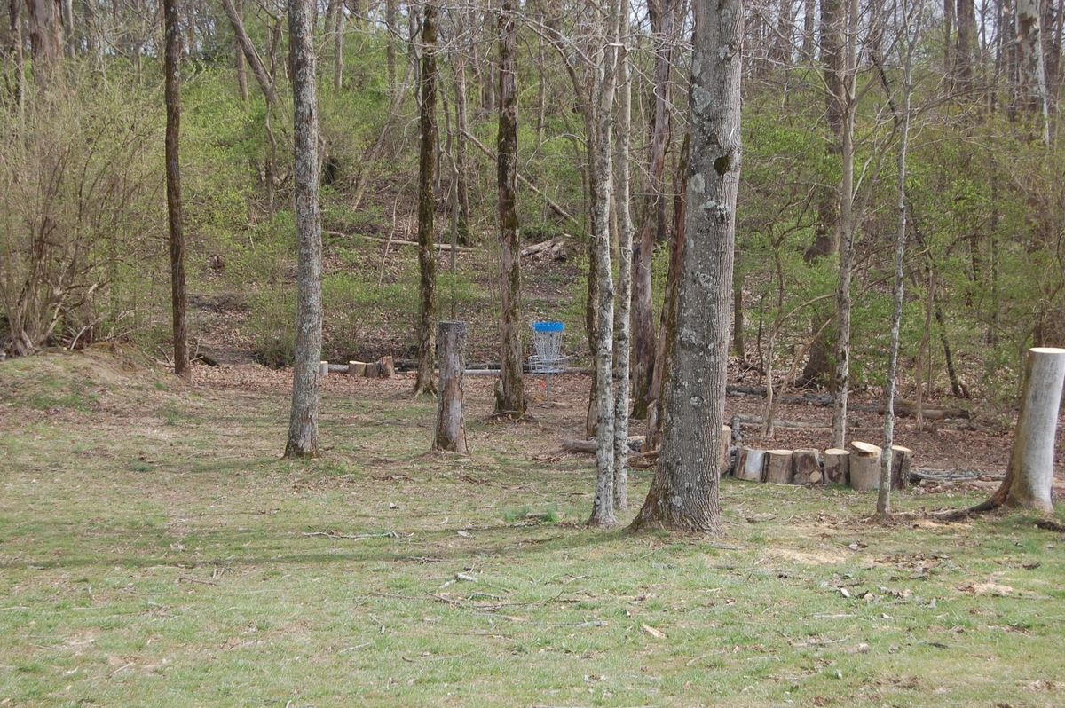 Hole 7