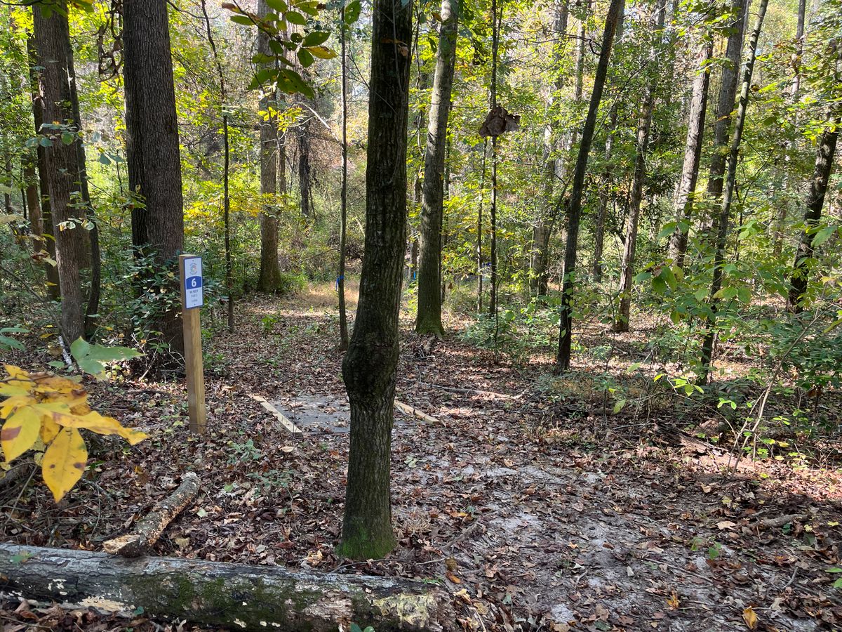 Hole 6 tee
