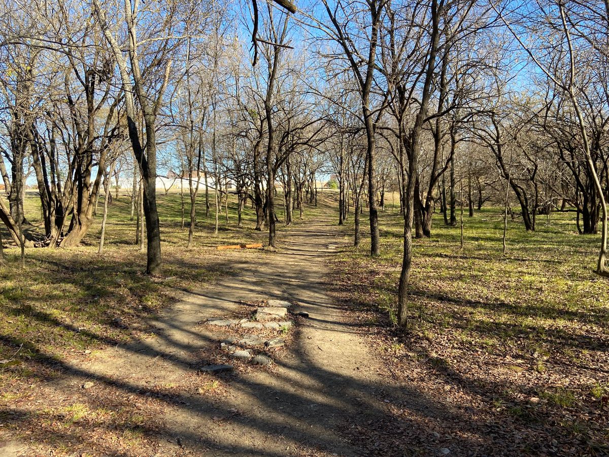 Hole 7 off the tee