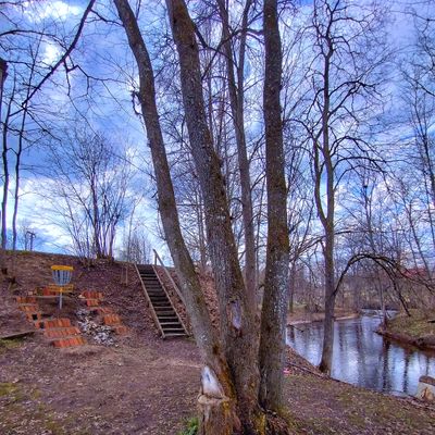 Basket Nr. 2 (be vary of river)