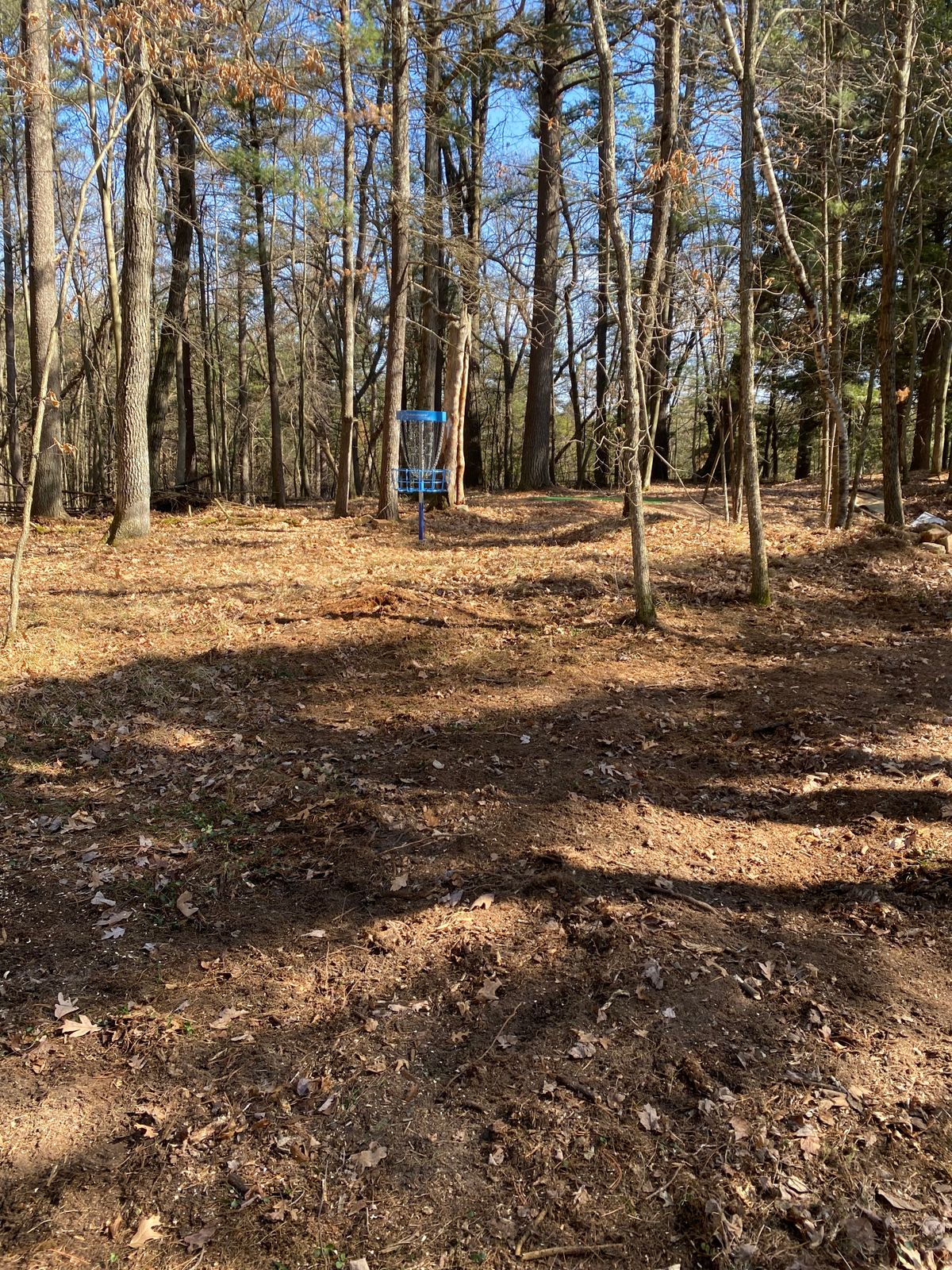 Hole 10 basket