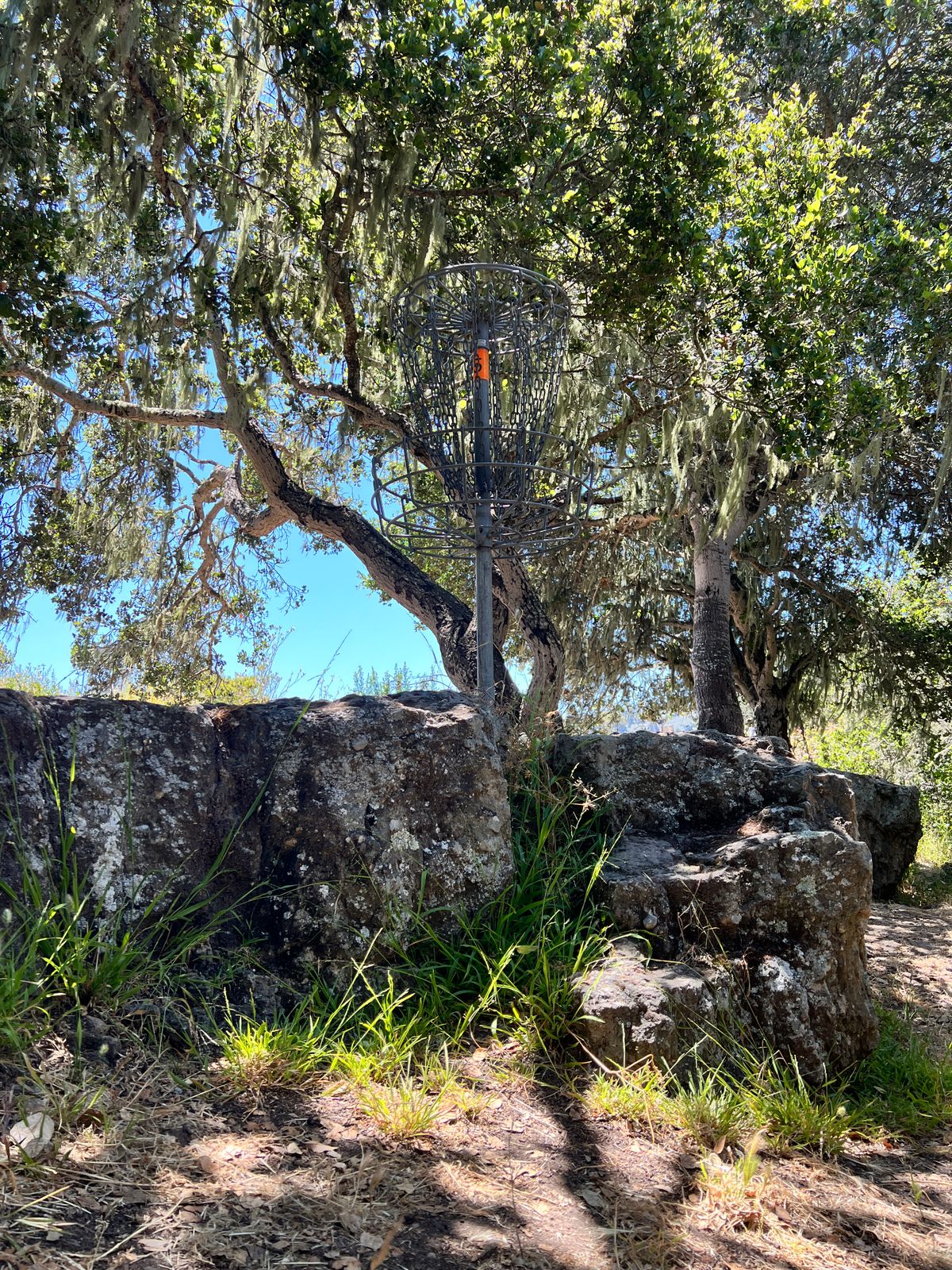 Hole 5’s basket.