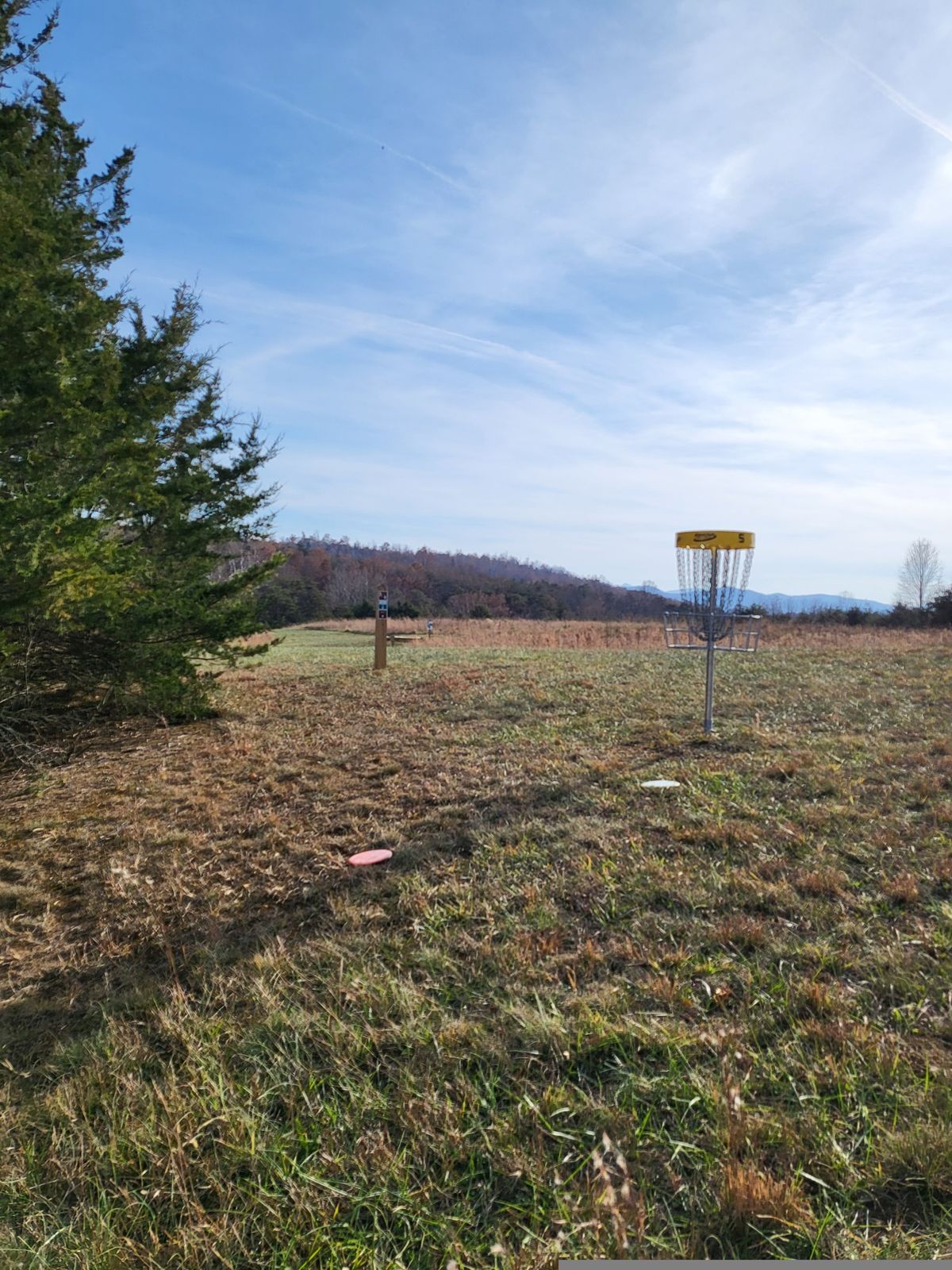 Hole 5 Basket