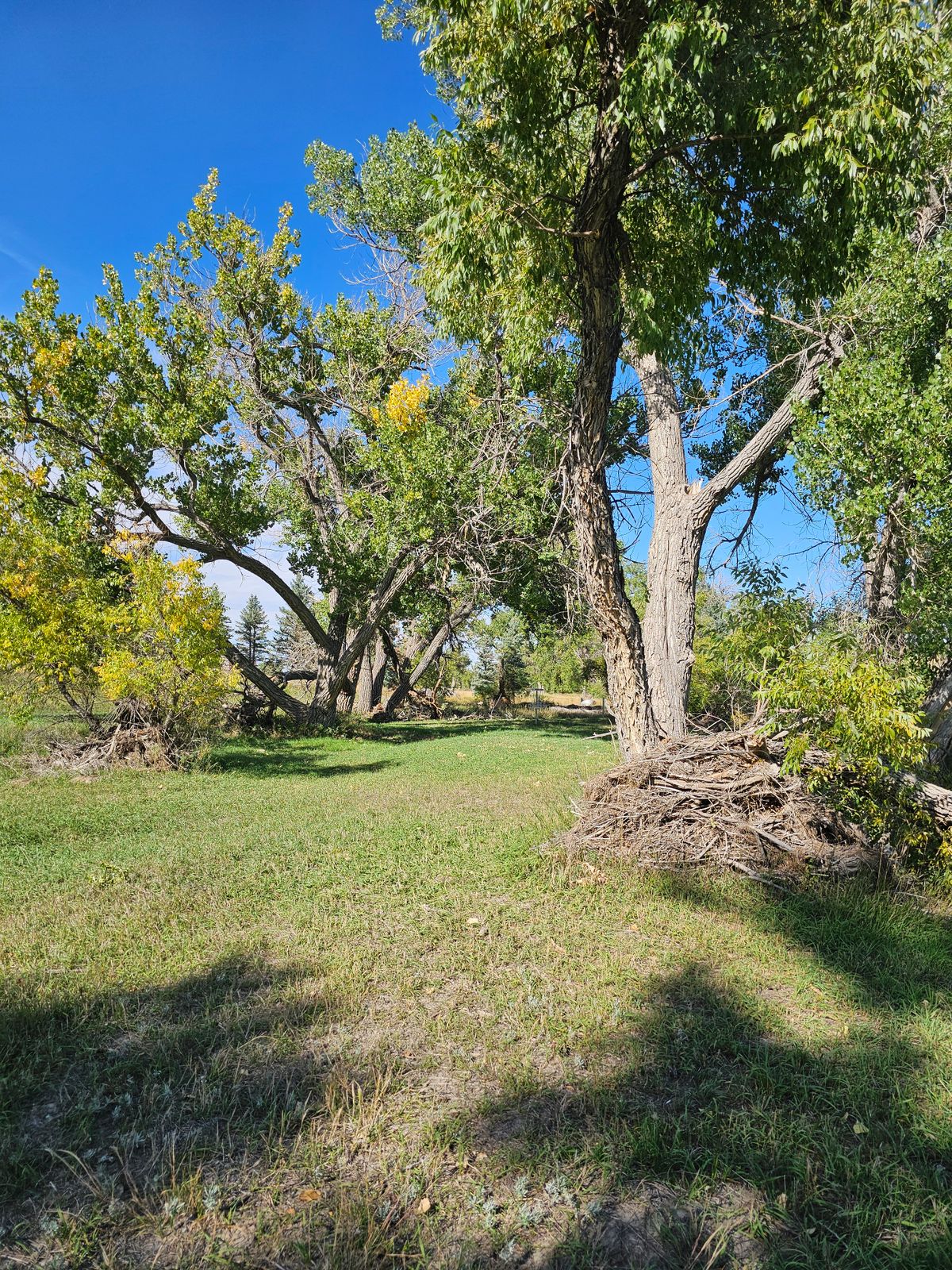 Hole 14 Middle Of Fairway