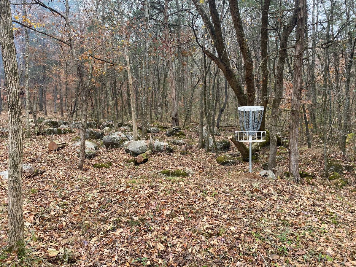 Hole 6/15 Green