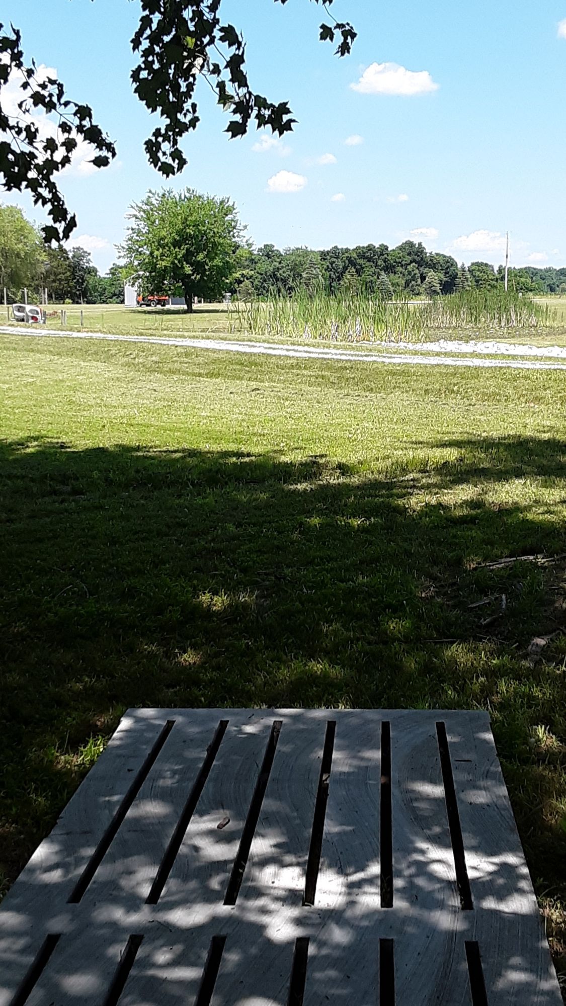 Hole 17 over the pond Beware of the headwind!