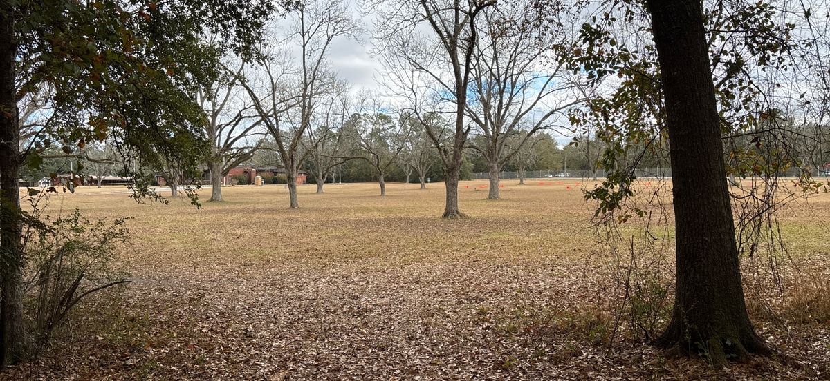 Tee 18