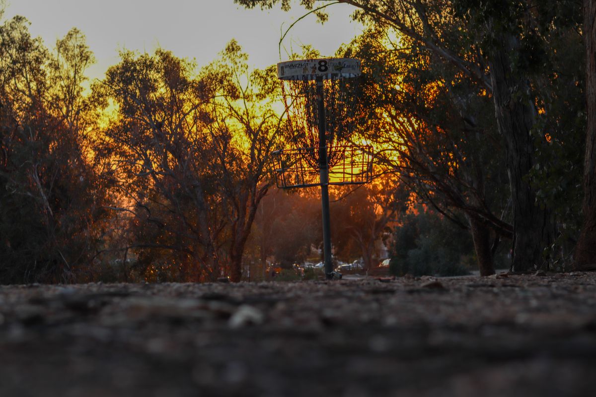 The beautiful view of basket 8.