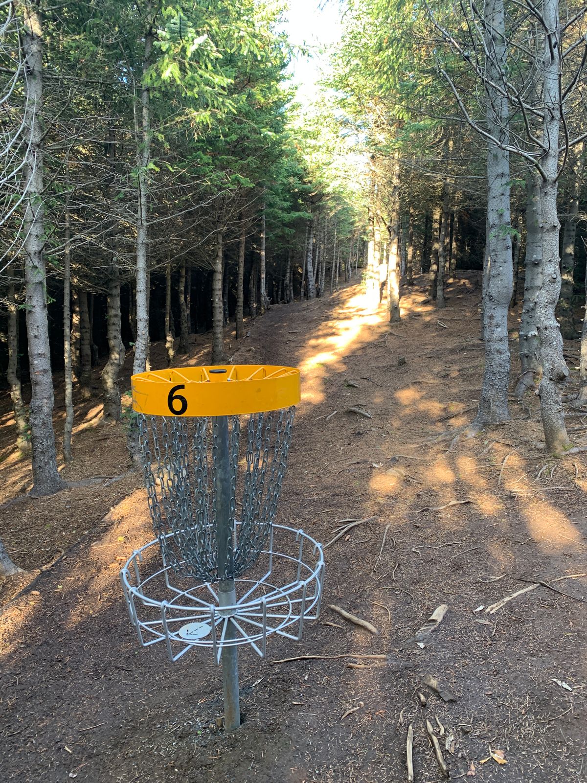 Hole 6