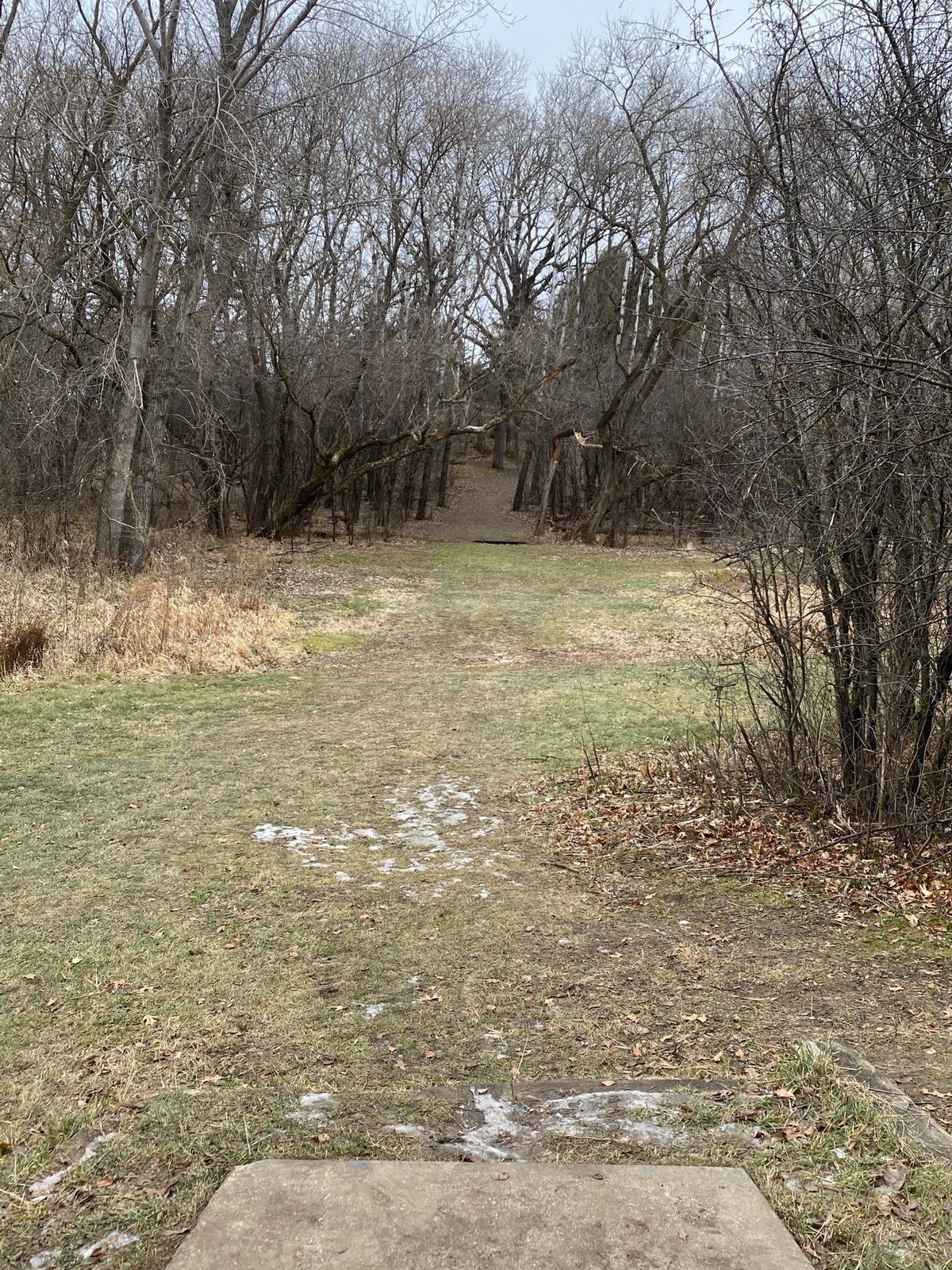 Hole 6 tee-pad look