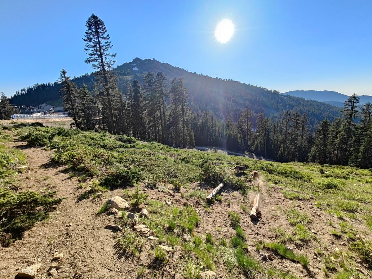 OLD Drop Zone (DZ) for OLD Hole 6 