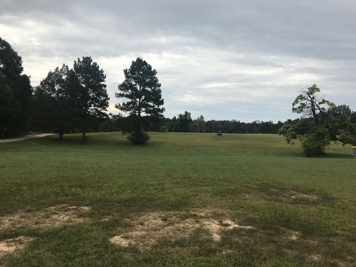 big area pic of course