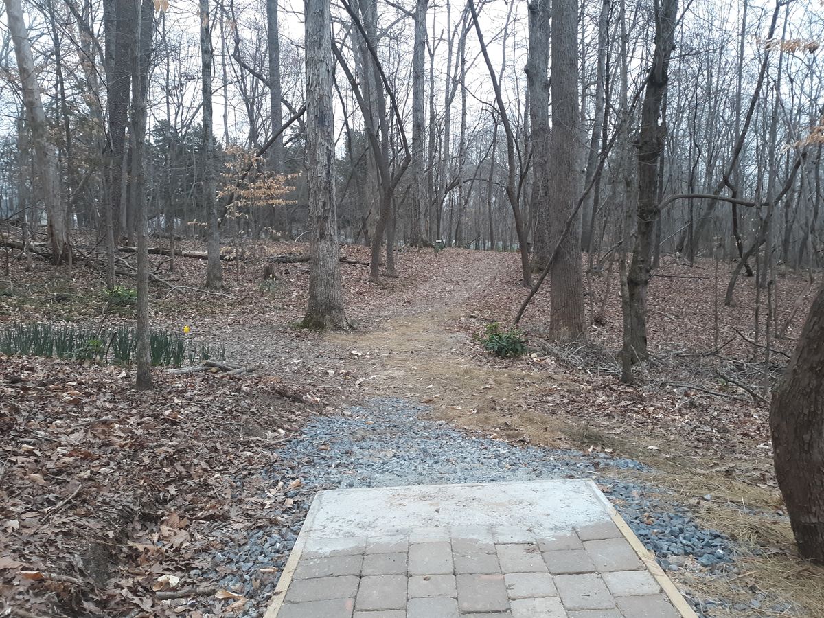 Hole 8