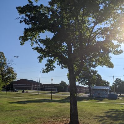 Kiwanis Park is a nice little park with a 9-hole course weaved with a popular walking trail, skate park and playground within play.