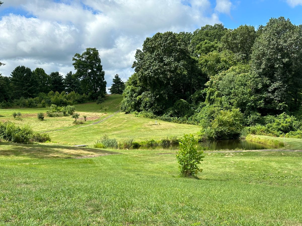 Hole 9 view