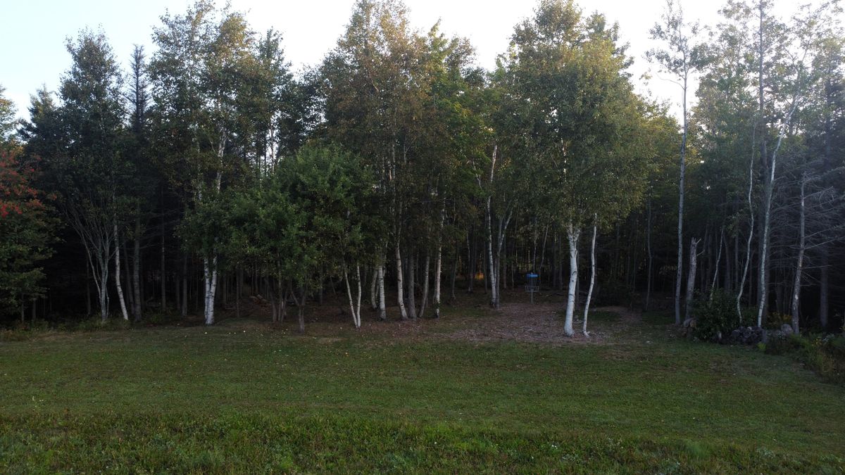 Green of hole 1.