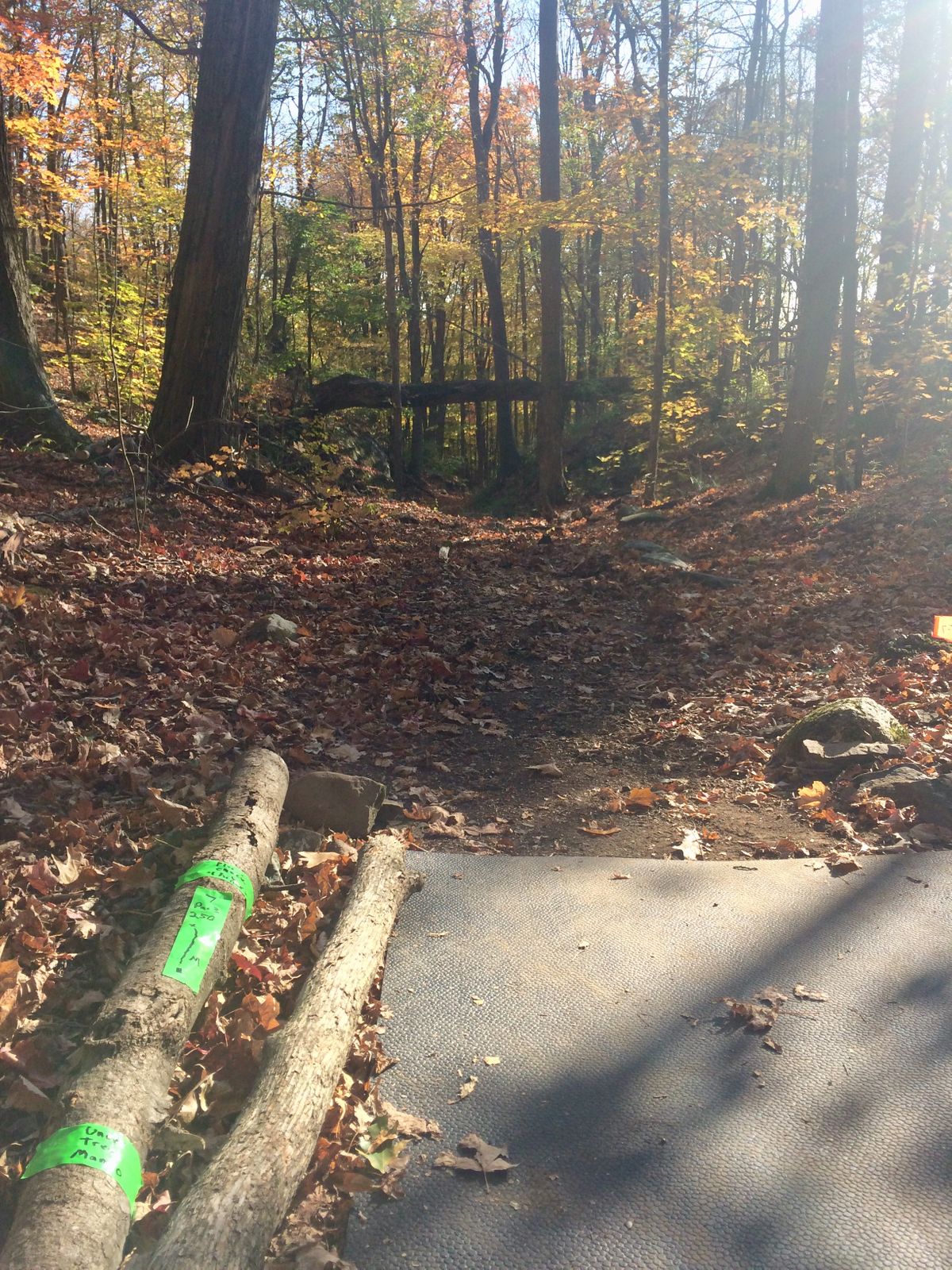 Hole 7
October Play
Love the mando ❤️📀⛳️