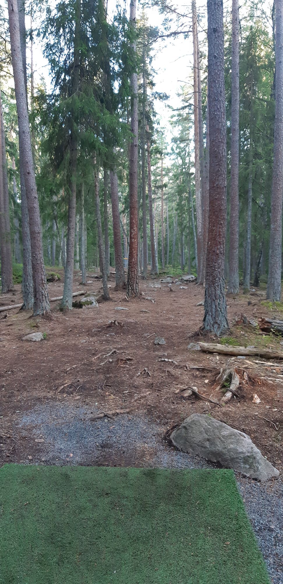 Hole 5