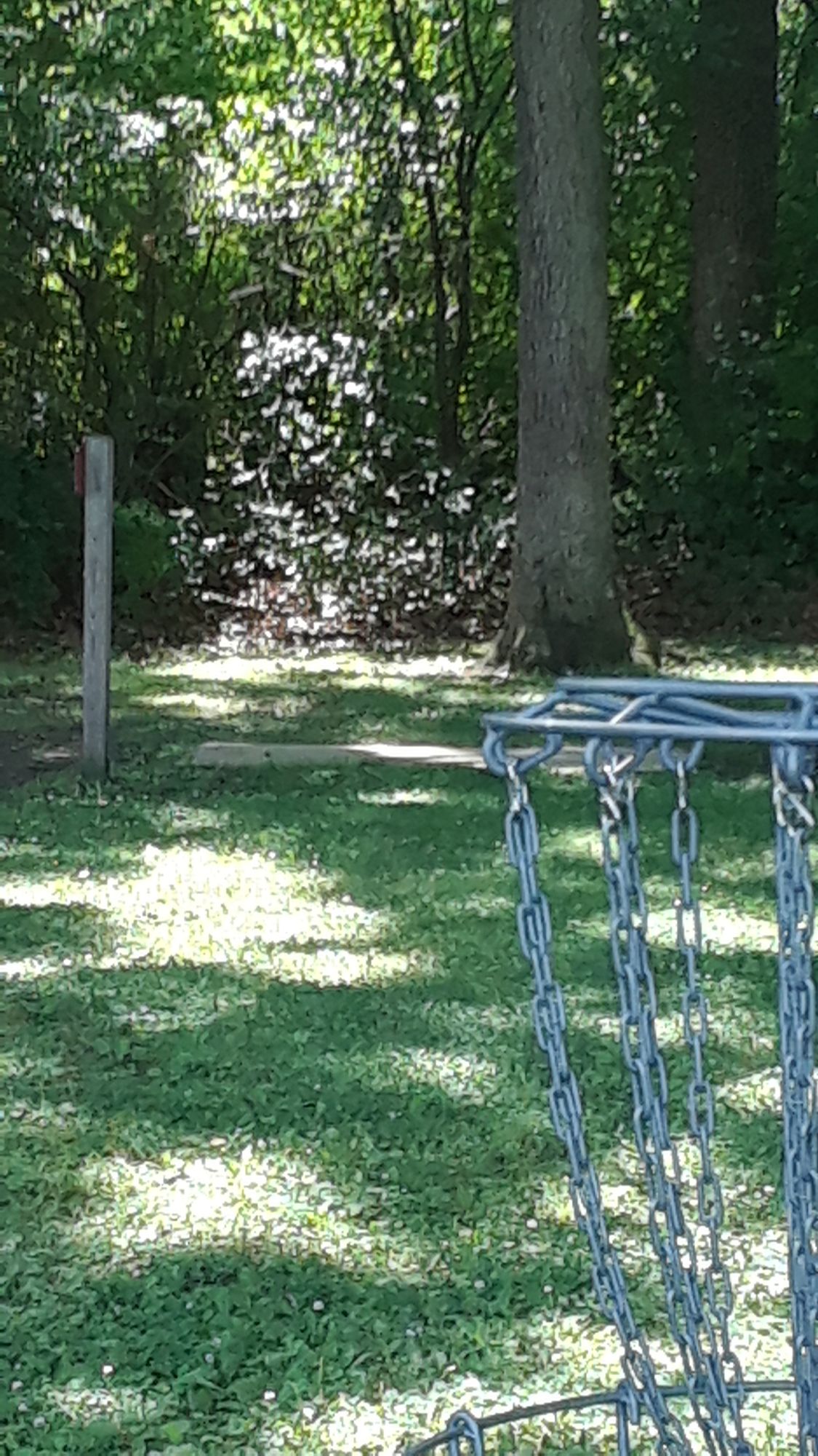 Baskets close to tees.