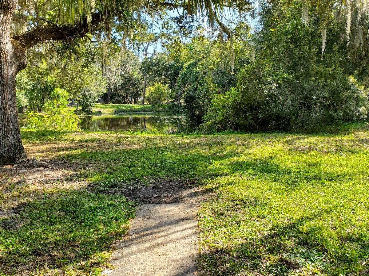 Hole 7 blue pad
Pin is across the pond