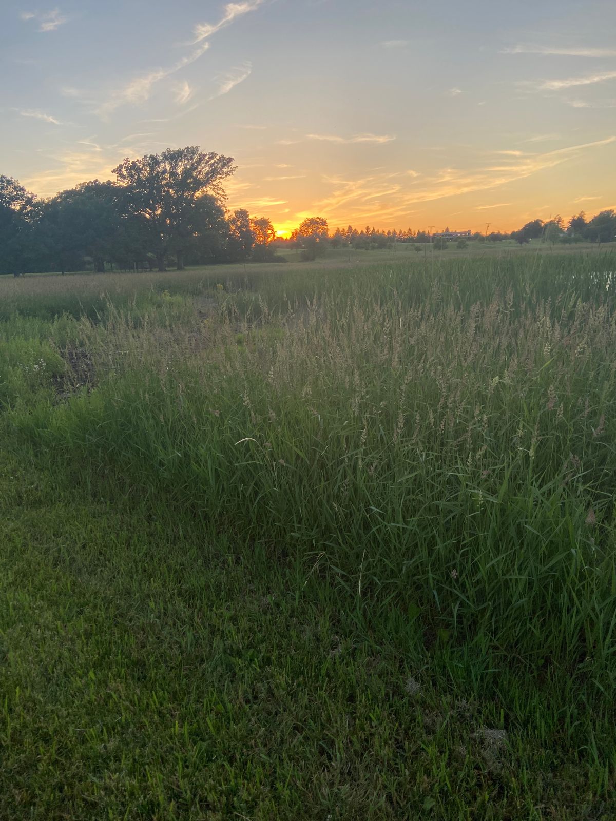 Walk to 17 tee pad