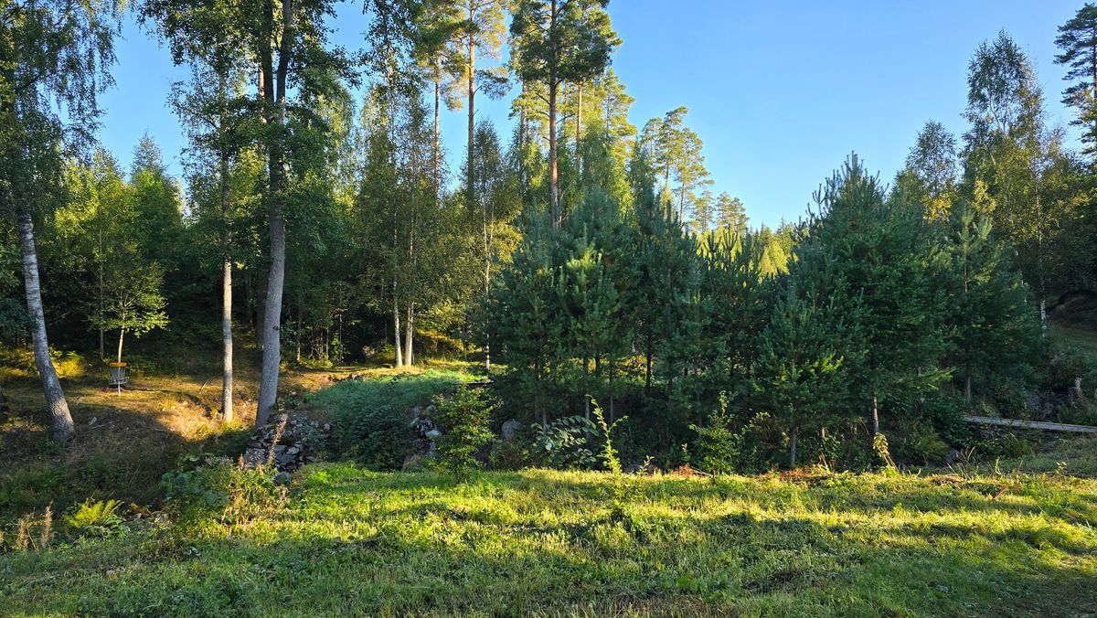 Hul 4
