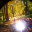 User avatar image