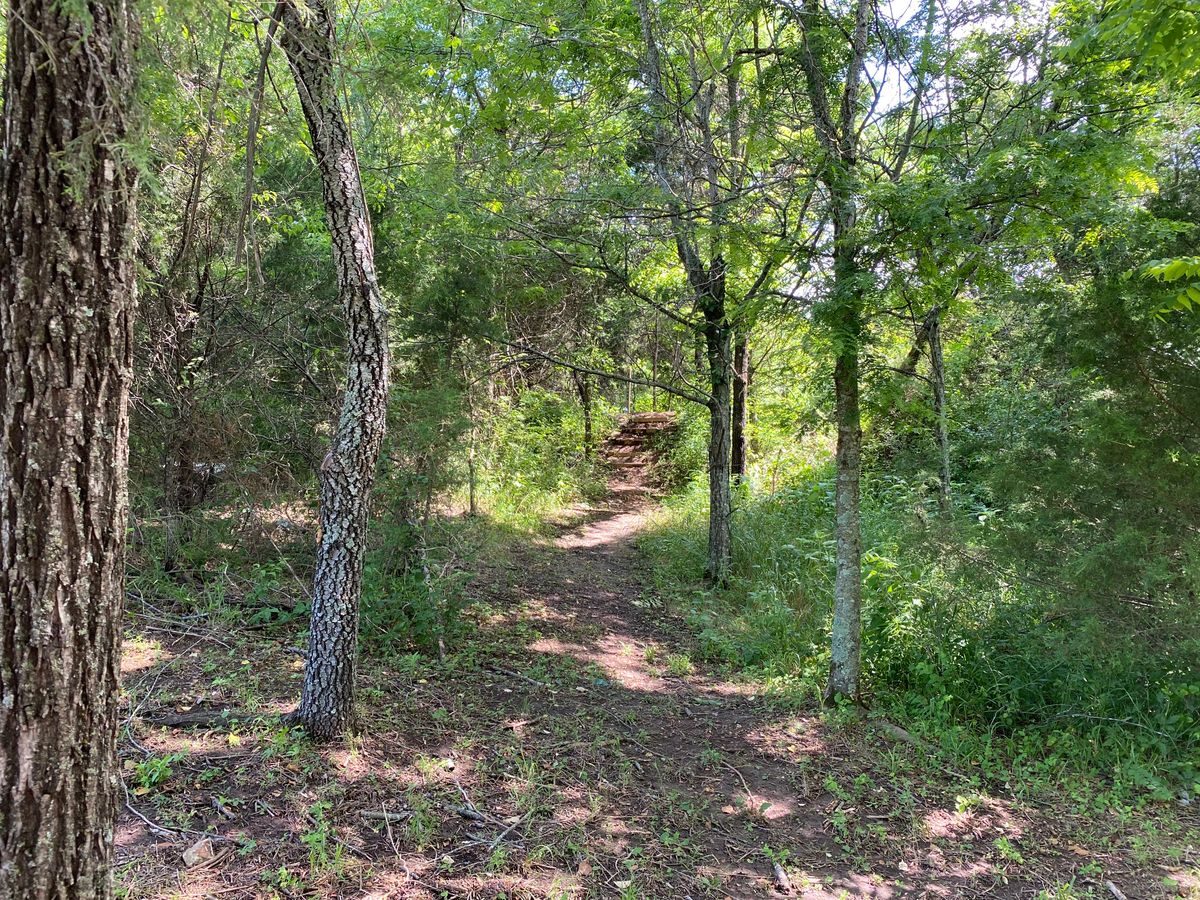Pathway to hole 3.