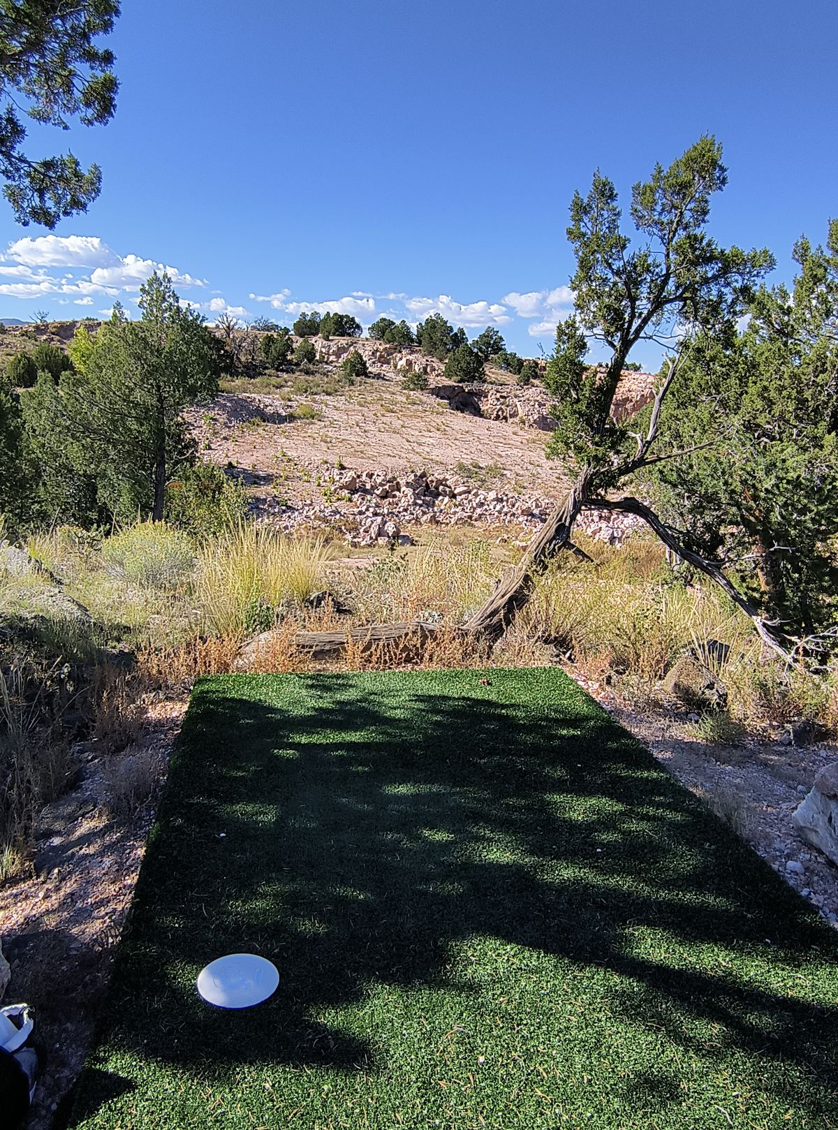 Hole #5 look