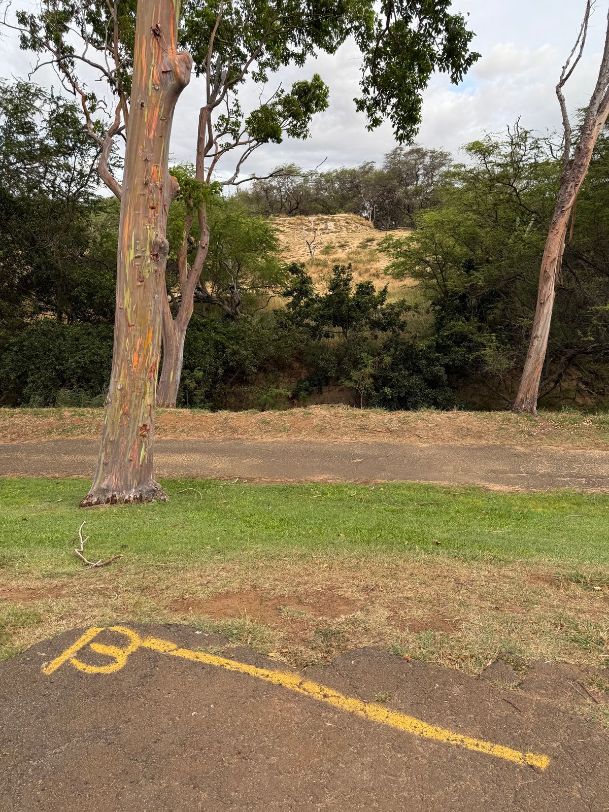 Tee Hole 13
