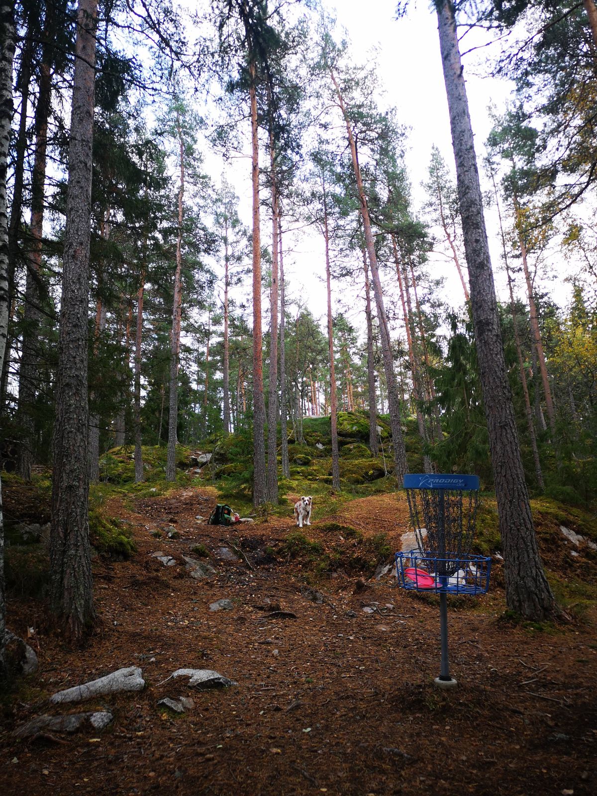 Hole 6