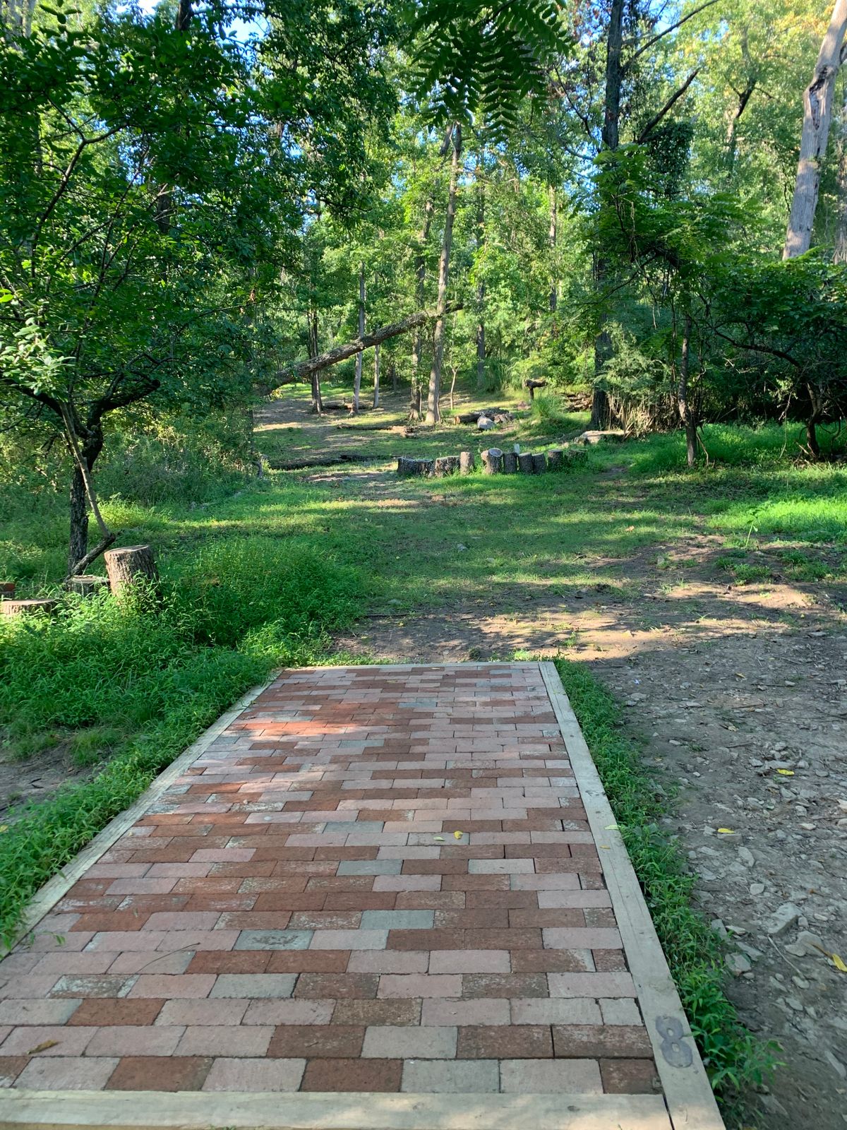 Hole 8 Tee