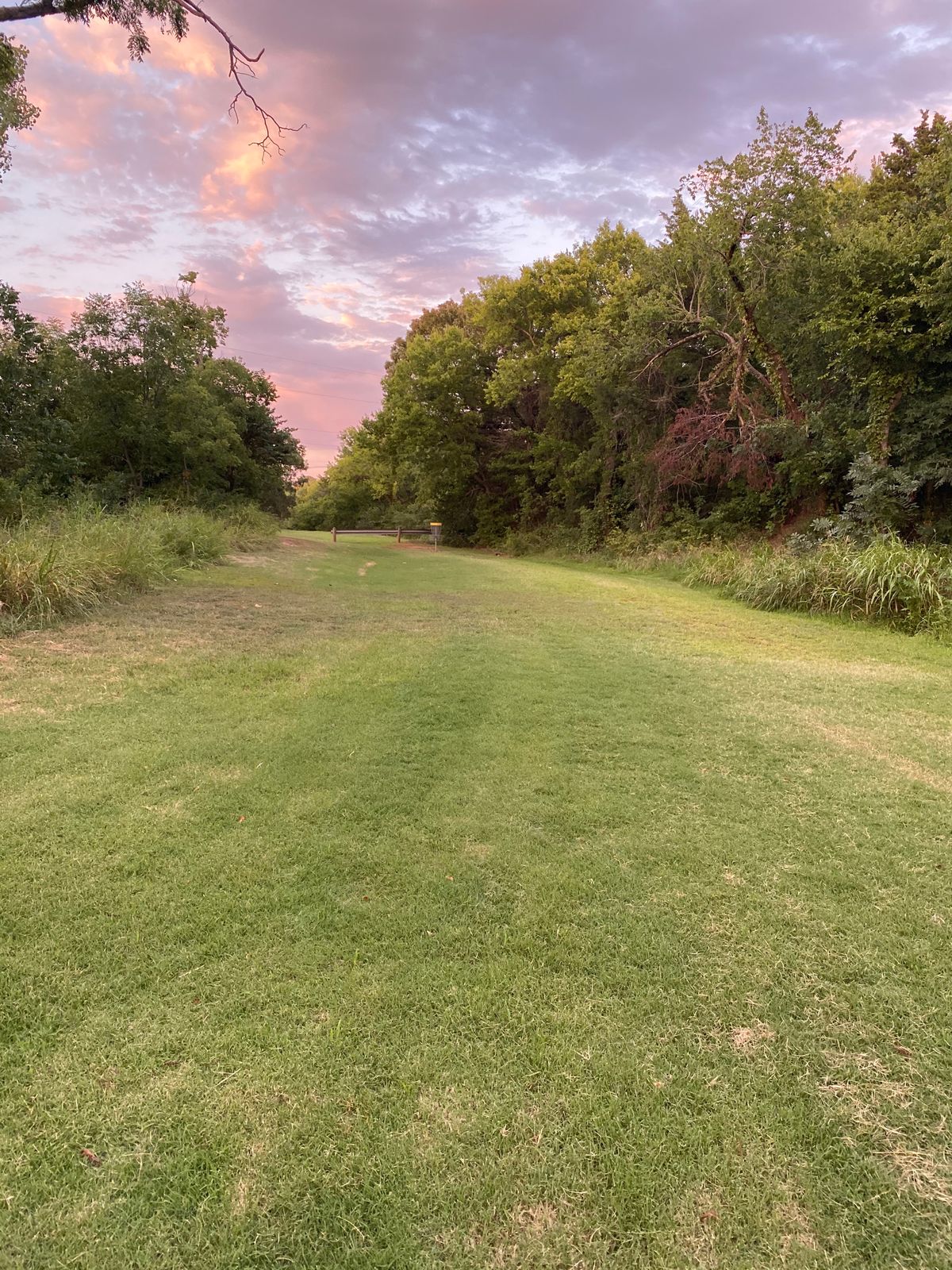 Another ace run chance with completely open fairway the whole way.