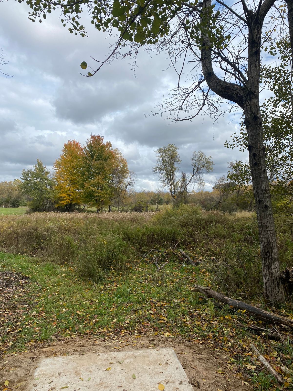 Hole 12 teeshot. Want to put it through gap in the trees.
