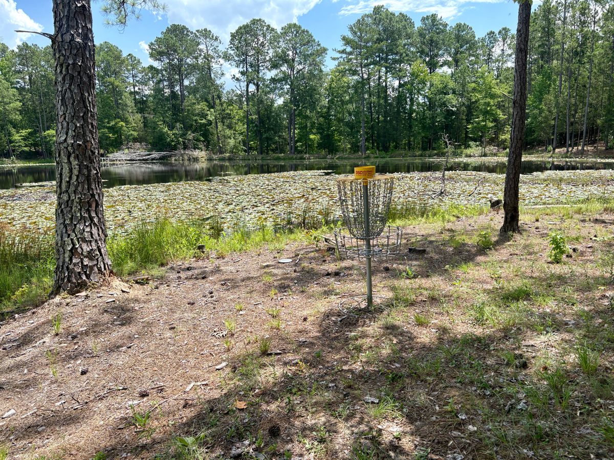 Hole 8 Basket