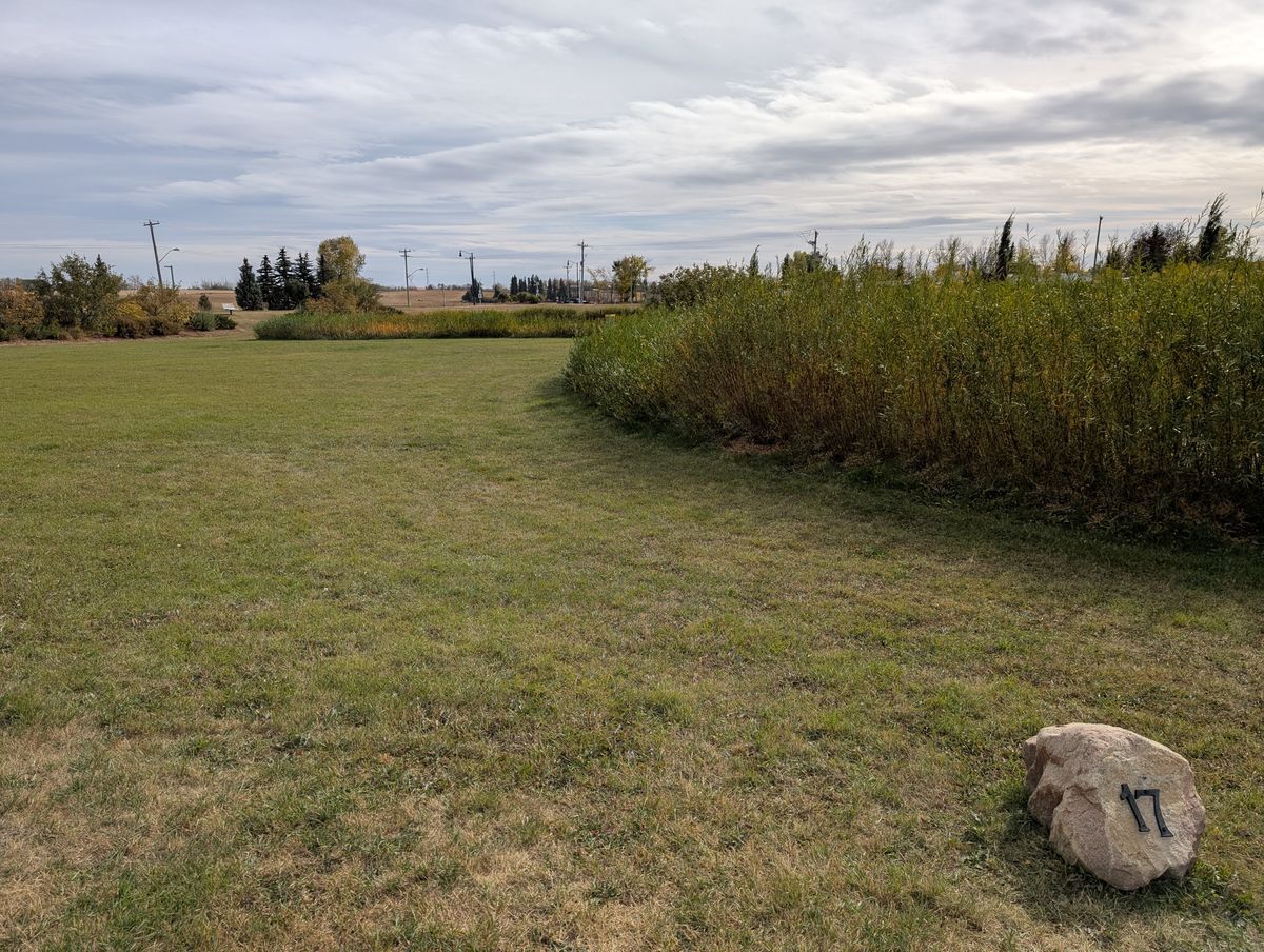 Hole 17. For a bad time, throw into the reeds.