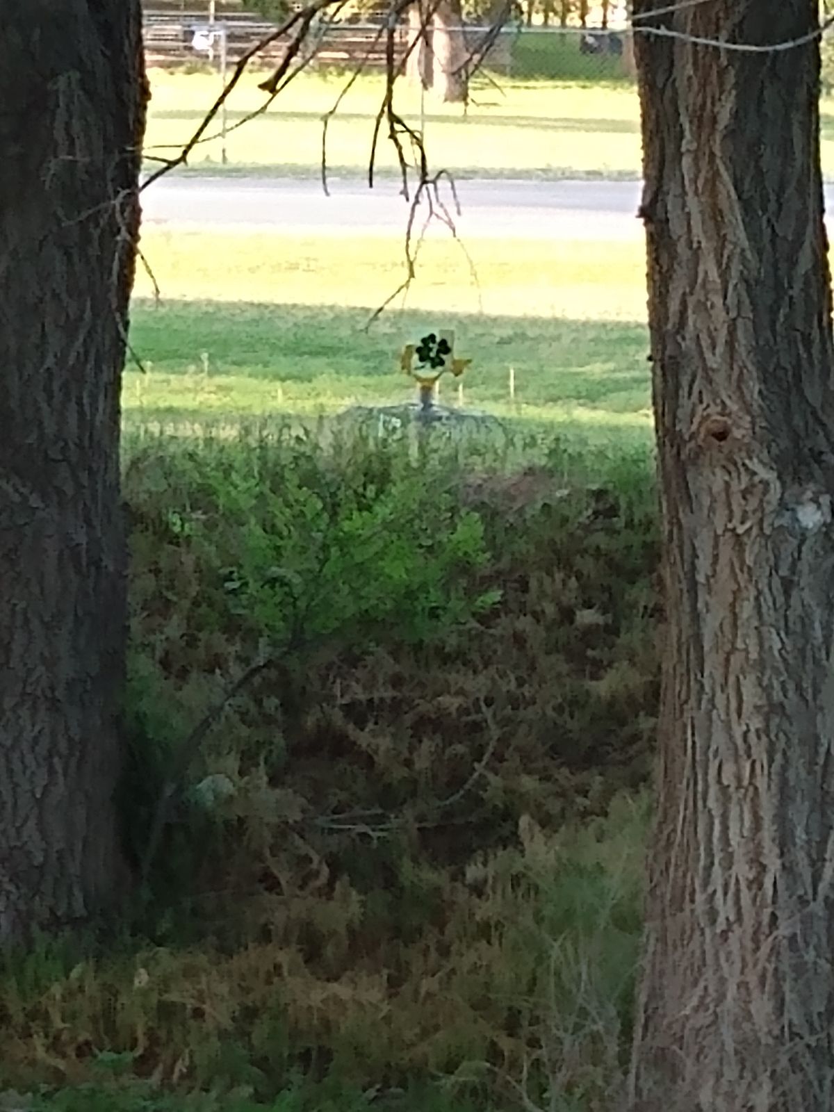 Hole 7 is on the back side of a small hill
