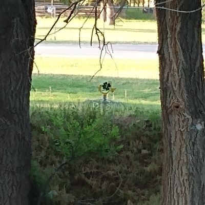 Hole 7 is on the back side of a small hill