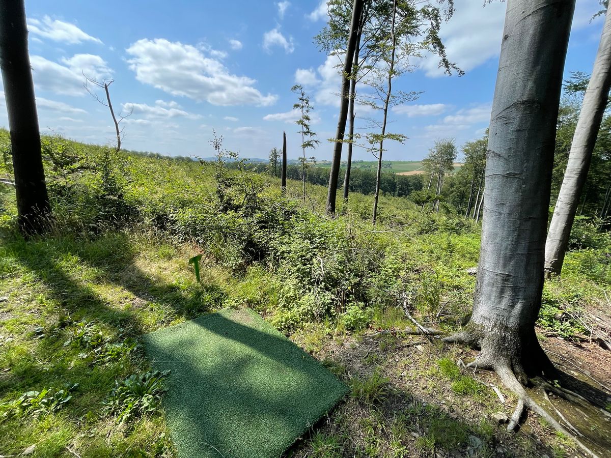 Tee of hole 9