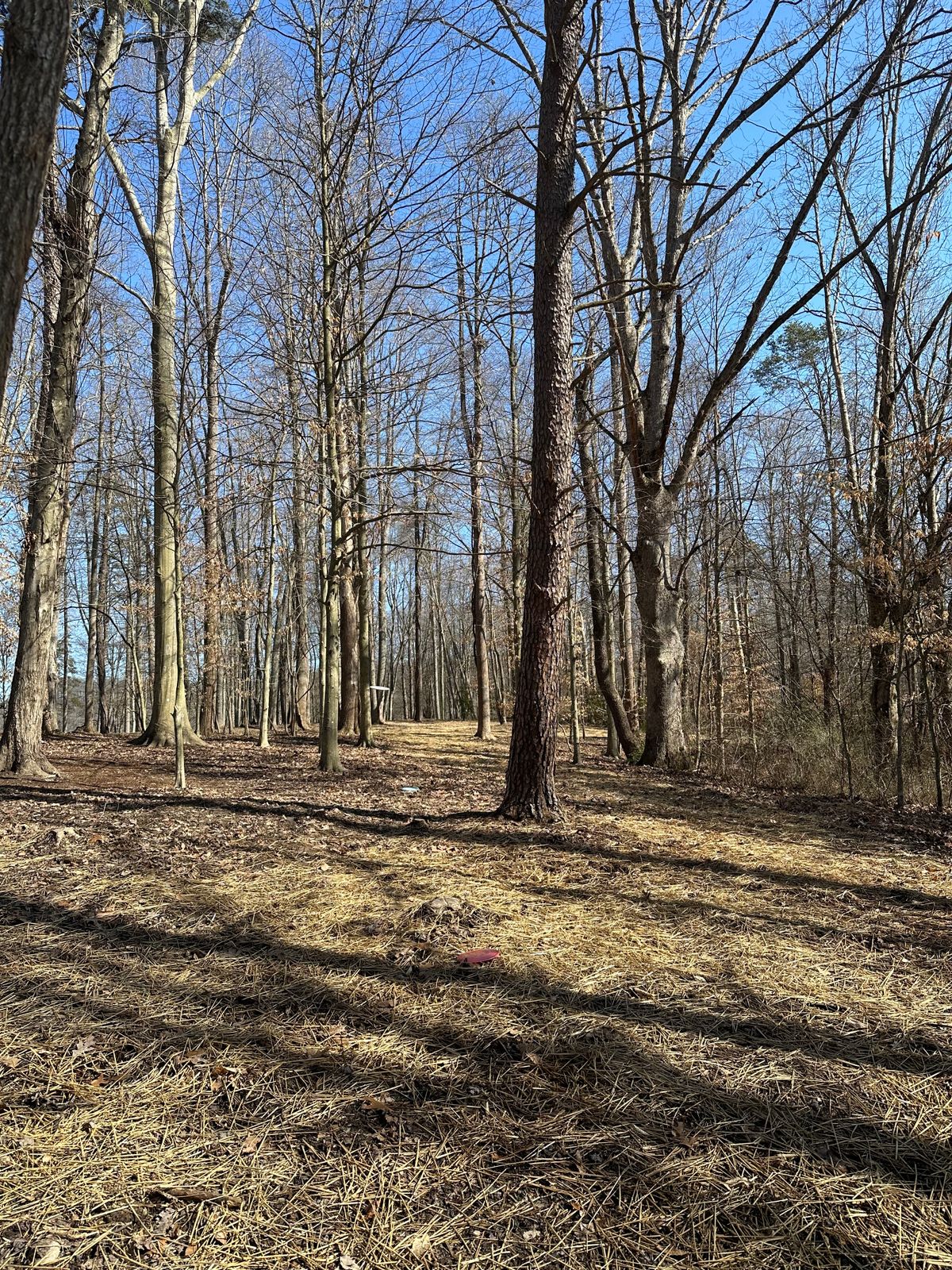 Hole 13